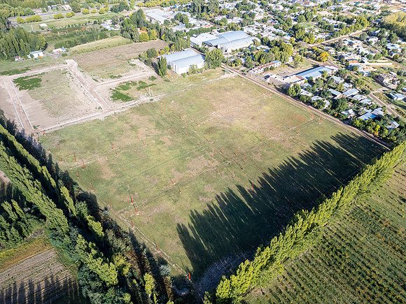 DJI_0600